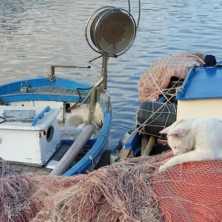 Augusto42 - A Due Passi Da Stadio E Mostra - 2 Bagni - Garage E Metro Sotto Casa * Nápoly